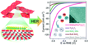 Graphical abstract: MoS2 quantum dot-decorated MXene nanosheets as efficient hydrogen evolution electrocatalysts