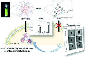 Graphical abstract: Polyurethane–polyurea hybrid nanocapsules as efficient delivery systems of anticancer Ir(iii) metallodrugs