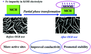 Graphical abstract: Enhanced oxygen evolution performance by the partial phase transformation of cobalt/nickel carbonate hydroxide nanosheet arrays in an Fe-containing alkaline electrolyte