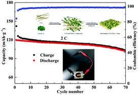 Graphical abstract: Rapid electron/ion transport in CNT/LiTi2(PO4)3@C–N electrodes for aqueous lithium-ion batteries with high stability, flexibility and safety