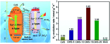 Graphical abstract: A CdS/MnS p–n heterojunction with a directional carrier diffusion path for efficient photocatalytic H2 production
