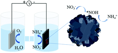 Graphical abstract: Ambient ammonia production via electrocatalytic nitrate reduction catalyzed by a flower-like CuCo2O4 electrocatalyst