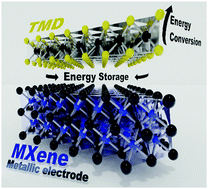 Graphical abstract: Transition metal dichalcogenide-decorated MXenes: promising hybrid electrodes for energy storage and conversion applications