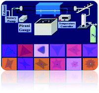 Graphical abstract: New insight into the growth of monolayer MoS2 flakes using an indigenously developed CVD setup: a study on shape evolution and spectroscopy