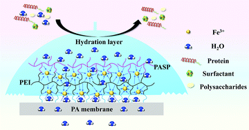 Graphical abstract: Zwitterionic and hydrophilic polyelectrolyte/metal ion anti-fouling layers via covalent and coordination bonds for reverse osmosis membranes