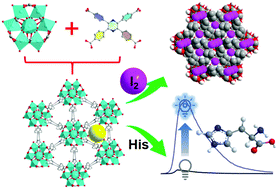 Graphical abstract: A microporous shp-topology metal–organic framework with an unprecedented high-nuclearity Co10-cluster for iodine capture and histidine detection