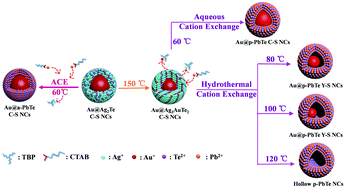 Graphical abstract: A telluride shell on plasmonic Au nanoparticles: amorphous/crystalline phase and shape evolution engineering via aqueous cation exchange