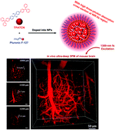 Graphical abstract: AIE-nanoparticle assisted ultra-deep three-photon microscopy in the in vivo mouse brain under 1300 nm excitation