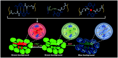 Graphical abstract: Optimizing supramolecular fluorescent materials with responsive multi-color tunability toward soft biomimetic skins