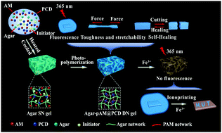Graphical abstract: Agar/carbon dot crosslinked polyacrylamide double-network hydrogels with robustness, self-healing, and stimulus-response fluorescence for smart anti-counterfeiting