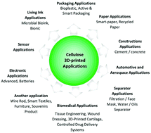Graphical abstract: 3D printed cellulose based product applications