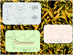 Graphical abstract: Discs, dumbbells and superdiscs: molecular and supermolecular architecture dependent magnetic behavior of mesogenic Blatter radical derivatives