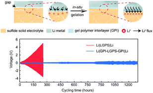 Graphical abstract: Constructing a stable interface between the sulfide electrolyte and the Li metal anode via a Li+-conductive gel polymer interlayer
