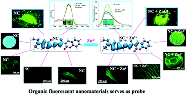 Graphical abstract: Well-defined organic fluorescent nanomaterials with AIE characteristics for colorimetric/UV-vis/fluorescent multi-channel recognition of Zn2+ with multiple applications in plant cells and zebrafish