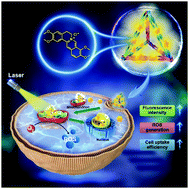 Graphical abstract: A DNA tetrahedron-loaded natural photosensitizer with aggregation-induced emission characteristics for boosting fluorescence imaging-guided photodynamic therapy