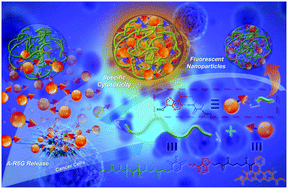 Graphical abstract: Self-assembled nanoparticles formed via complementary nucleobase pair interactions between drugs and nanocarriers for highly efficient tumor-selective chemotherapy