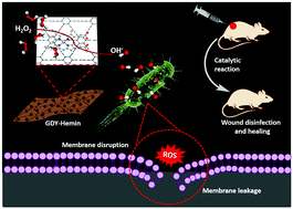 Graphical abstract: Graphdiyne–hemin-mediated catalytic system for wound disinfection and accelerated wound healing