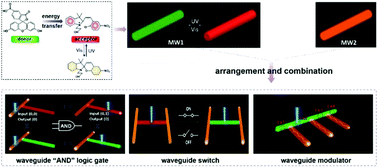 Graphical abstract: Tunable-emission microwire heterojunctions for optical waveguides