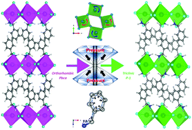 Graphical abstract: Cooperative B-site octahedral tilting, distortion and A-site conformational change induced phase transitions of a 2D lead halide perovskite