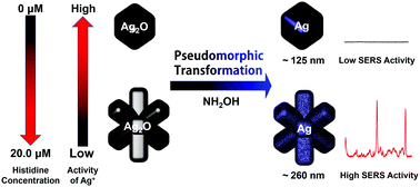 Graphical abstract: Histidine-directed formation of Ag octopods via pseudomorphic transformation of Ag2O