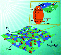 Graphical abstract: Anchoring Zn0.5Cd0.5S solid solution onto 2D porous Co–CoO nanosheets for highly improved photocatalytic H2 generation