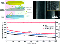 Graphical abstract: High-conductivity 1T-MoS2 catalysts anchored on a carbon fiber cloth for high-performance lithium–sulfur batteries
