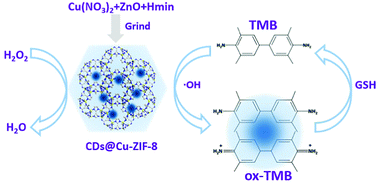 Graphical abstract: Designed synthesis of CD@Cu-ZIF-8 composites as excellent peroxidase mimics for assaying glutathione