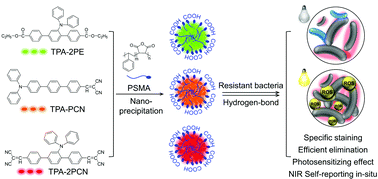Graphical abstract: Aggregation-induced emission nanoparticles with NIR and photosensitizing characteristics for resistant bacteria elimination and real-time tracking