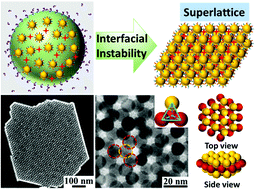 Graphical abstract: Self-assembled 3D free-standing superlattices of gold nanoparticles driven by interfacial instability of emulsion droplets
