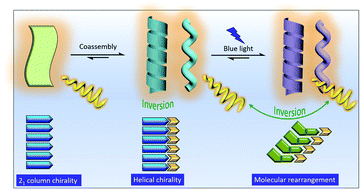 Graphical abstract: Dynamic evolution of supramolecular chirality manipulated by H-bonded coassembly and photoisomerism