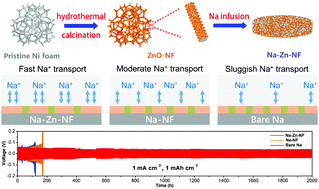 Graphical abstract: Accommodating sodium into three-dimensional hosts with a nanoscale sodiophilic layer towards stable pre-stored Na metal anodes