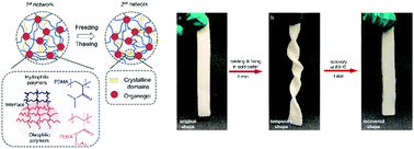 Graphical abstract: Double-network shape memory organohydrogel prepared by one-pot polymerization