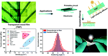 Graphical abstract: Mechanically strong, transparent, and biodegradable wood-derived film