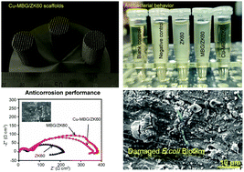 Graphical abstract: Copper-doped mesoporous bioactive glass endows magnesium-based scaffold with antibacterial activity and corrosion resistance
