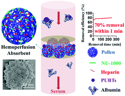 Graphical abstract: Hemocompatible MOF-decorated pollen hemoperfusion absorbents for rapid and highly efficient removal of protein-bound uremic toxins