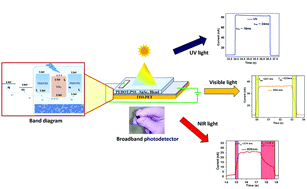 Graphical abstract: A flexible, rapid response, hybrid inorganic–organic SnSe2–PEDOT:PSS bulk heterojunction based high-performance broadband photodetector