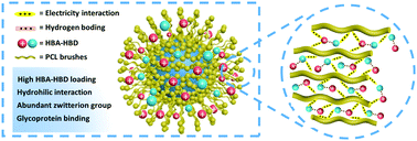 Graphical abstract: Amphipathic engineering of magnetic composites reinforced with ion-copolymer-activated protein-bioconjugate functionalized surface