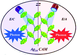 Graphical abstract: Switchable photon and phonon emission properties of an atomically precise Ag14 core-based two-dimensional silver cluster-assembled material