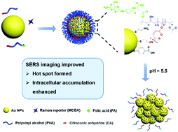 Graphical abstract: Acid-responsive aggregated SERS nanoparticles for improved tumor diagnosis