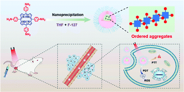 Graphical abstract: Nanoscale aggregates of porphyrins: red-shifted absorption, enhanced absorbance and phototherapeutic activity