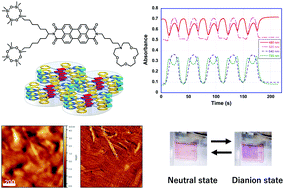 Graphical abstract: Liquid-crystalline perylene bisimide derivatives bearing an azacrown ether ring complexing with alkaline metal ions