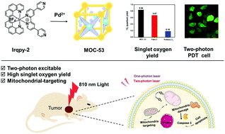 Graphical abstract: A photoactive Ir–Pd bimetallic cage with high singlet oxygen yield for efficient one/two-photon activated photodynamic therapy