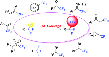 Graphical abstract: Recent advance in the C–F bond functionalization of trifluoromethyl-containing compounds