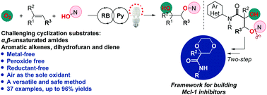 Graphical abstract: Visible light-induced aerobic dioxygenation of α,β-unsaturated amides/alkenes toward selective synthesis of β-oxy alcohols using rose bengal as a photosensitizer