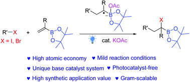 Graphical abstract: Photo-induced weak base-catalyzed synthesis of α-haloboronates from vinylboronates and polyfluoroalkyl halides