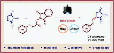 Graphical abstract: An organophotoredox-catalyzed redox-neutral cascade involving N-(acyloxy)phthalimides and maleimides