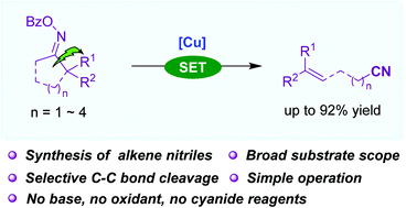 Graphical abstract: Copper-catalyzed Beckmann-type fragmentation of less-strained cycloketoxime esters