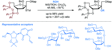 Graphical abstract: Stereoselective synthesis of α-d-fructofuranosides using a 4,6-O-siloxane-protected donor