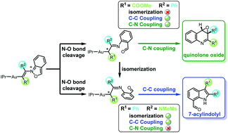 Graphical abstract: Understanding the reaction mechanism of gold-catalyzed reactions of 2,1-benzisoxazoles with propiolates and ynamides