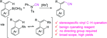 Graphical abstract: Stereospecific cyanation of the olefinic C–H bond enabled by 1,4-rhodium migration